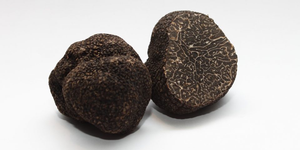 fresh-black-Winter-Perigord-truffles-960