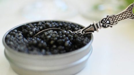 Hackleback caviar