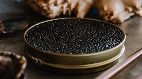 Paddlefish caviar