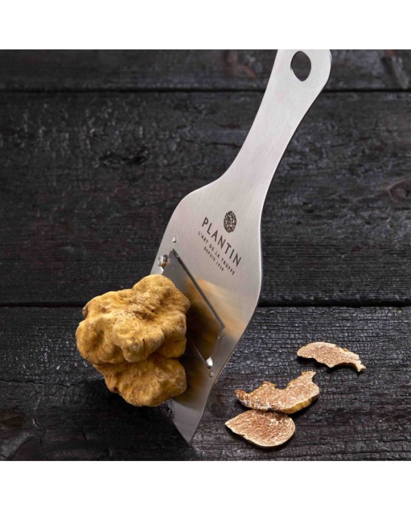 Fresh White Alba Truffle 15g