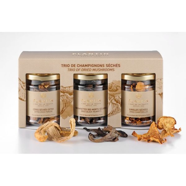 Trio of dried mushrooms Gift Set - Plantin